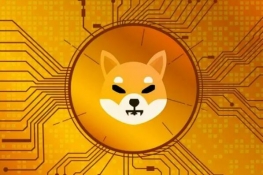 柴犬币怎么买在哪个平台可以买?shib屎币买卖交易平台app排行推荐